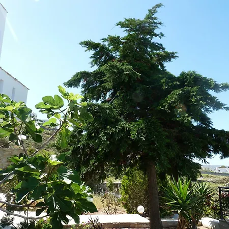 Paradisia Naxos City