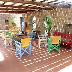 Paradisia